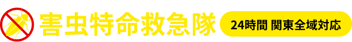 footer-logo